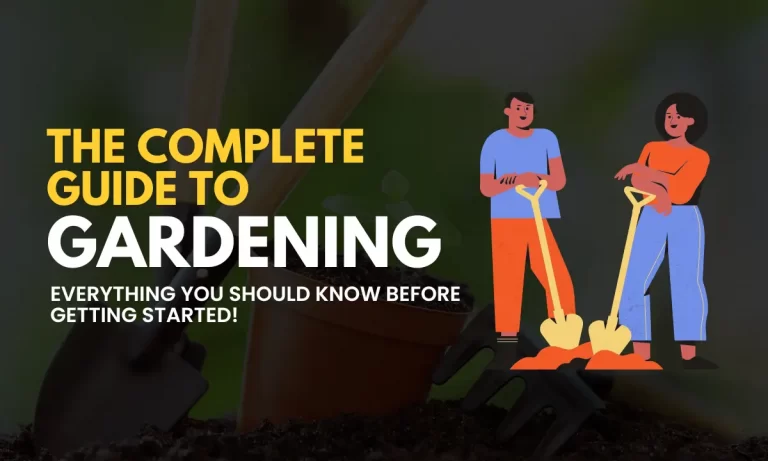 The Complete Guide To Gardening Everything You Should Know Before Getting Started!